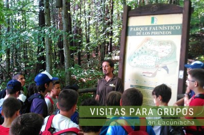 Visitas para grupos en Lacuniacha