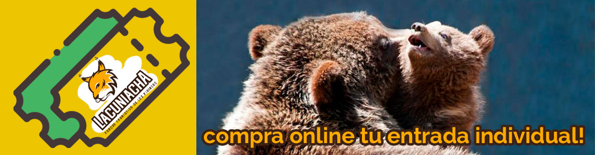 Comprar entradas individuales