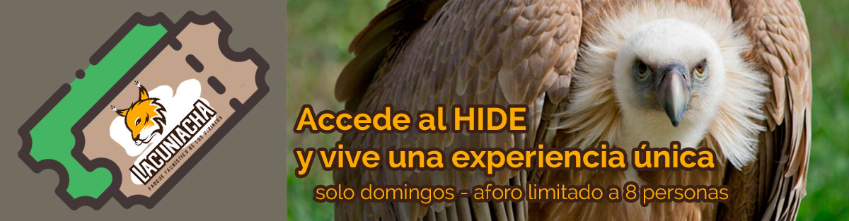 Entradas HIDE